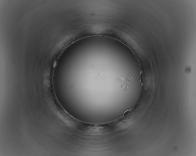 X0000093560497200710151110