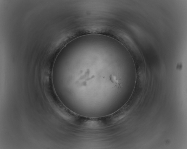 X0000093560499200710151110