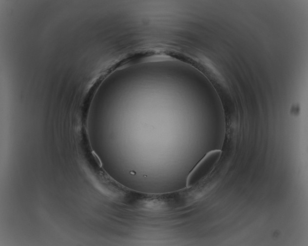 X0000093560500200710151110