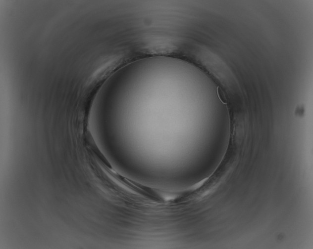 X0000093560501200710151110