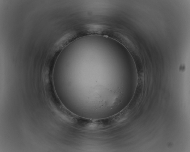 X0000093560504200710151110
