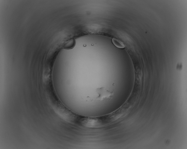 X0000093560507200710151110