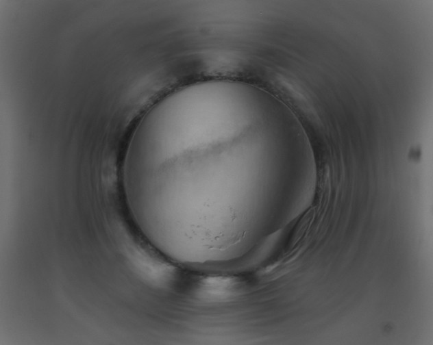 X0000093560508200710151110