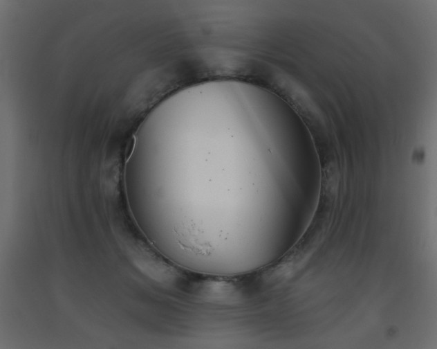 X0000093560509200710151110