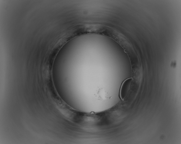 X0000093560510200710151110