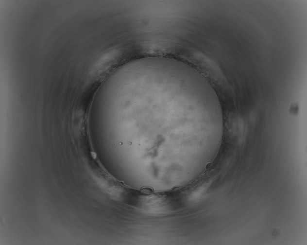 X0000093560511200710151110