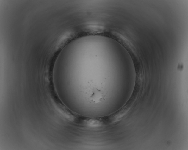 X0000093560512200710151110