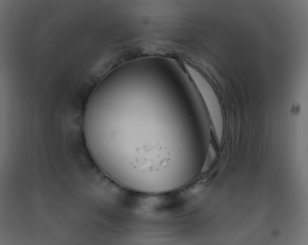 X0000093560513200710151110