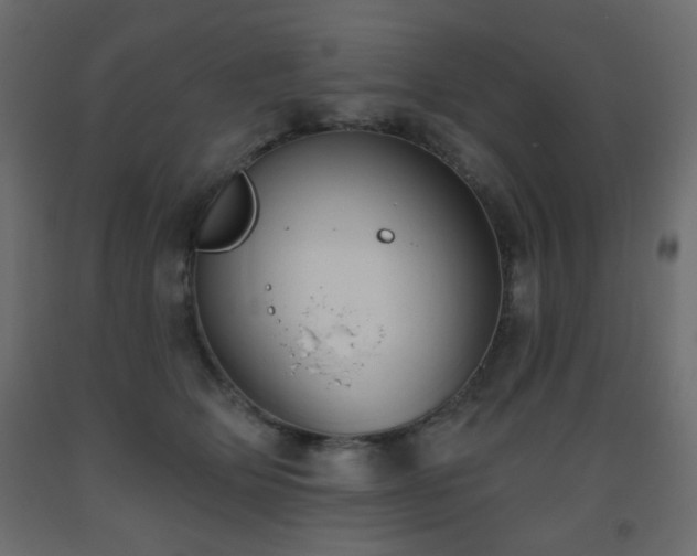 X0000093560514200710151110