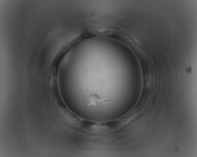 X0000093560515200710151110