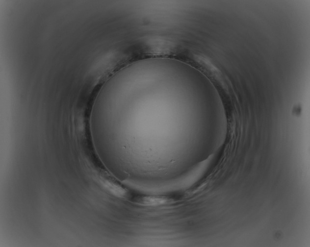 X0000093560516200710151110