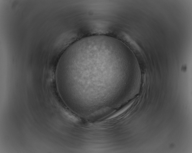 X0000093560517200710151110