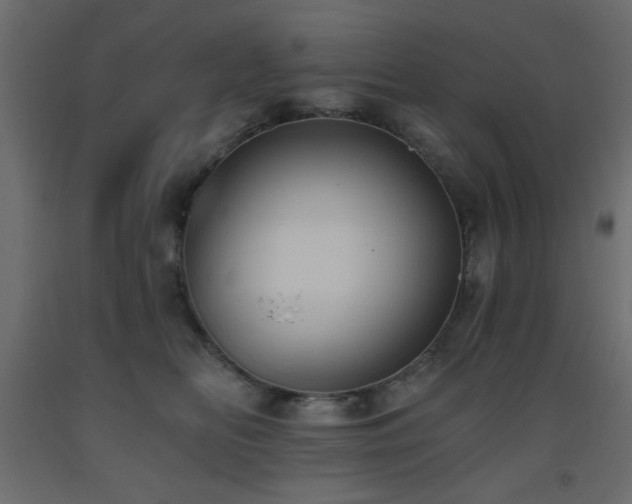 X0000093560518200710151110