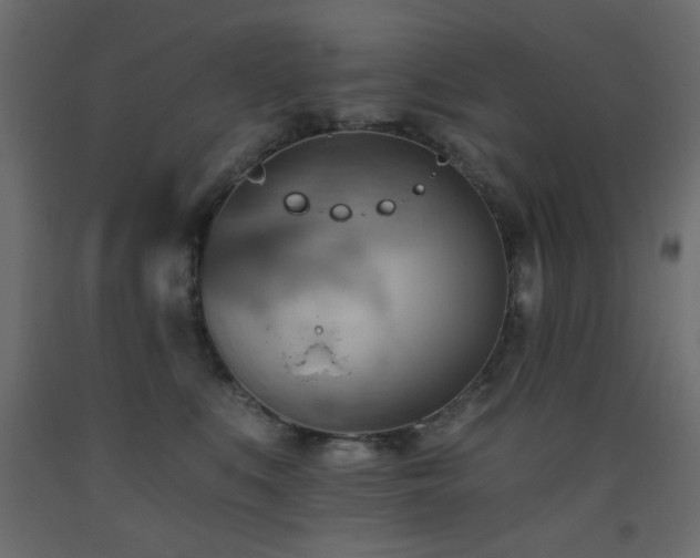 X0000093560519200710151110