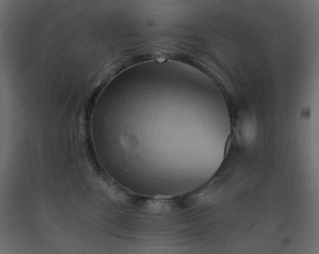 X0000093560520200710151110