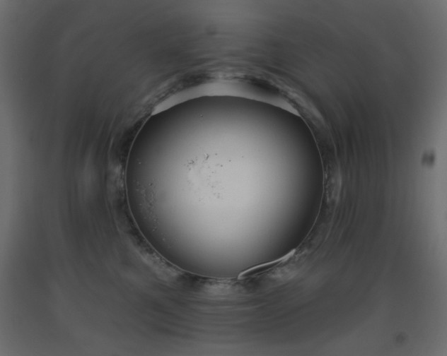 X0000093560521200710151110