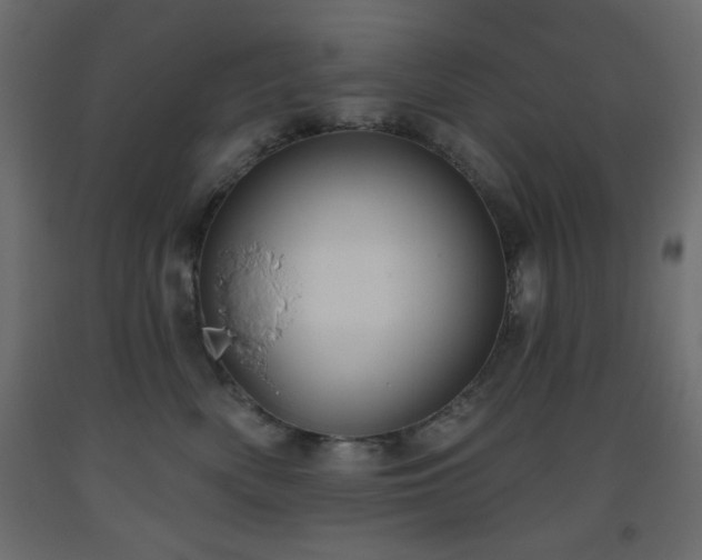 X0000093560522200710151109