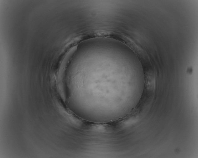 X0000093560523200710151109