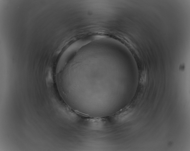 X0000093560524200710151109