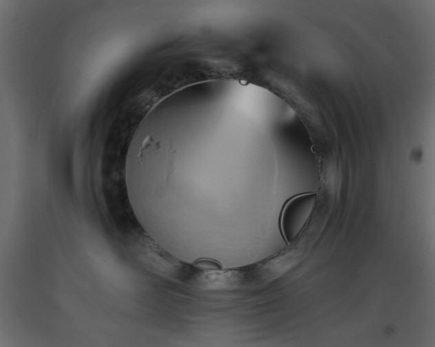 X0000093560526200710151109