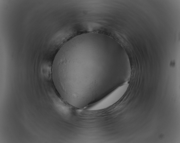 X0000093560527200710151109