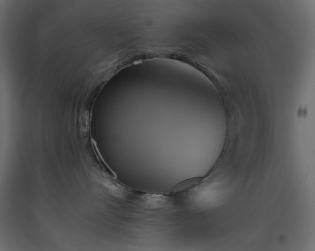 X0000093560528200710151109