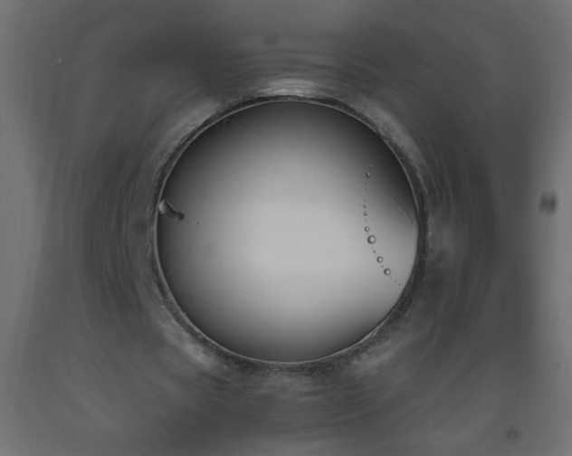 X0000093560529200710151109