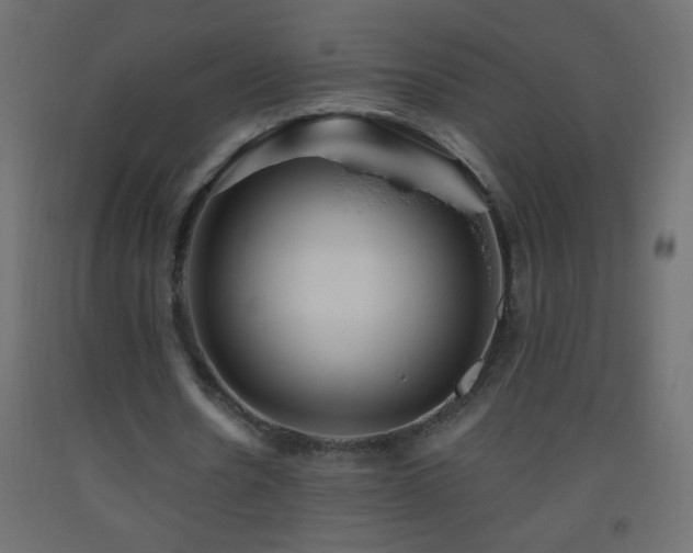 X0000093560530200710151109