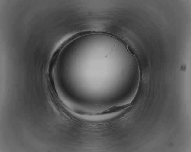 X0000093560532200710151109