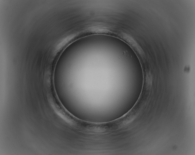 X0000093560533200710151109