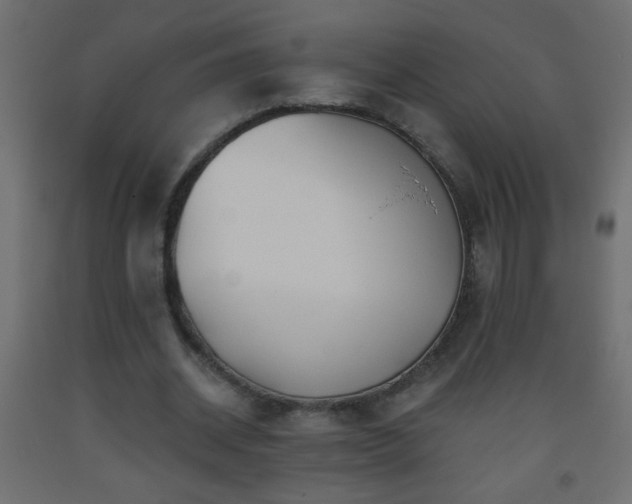 X0000093560534200710151109