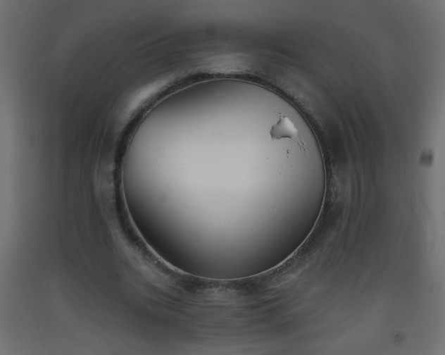 X0000093560535200710151109
