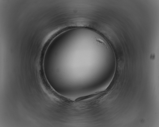 X0000093560536200710151109