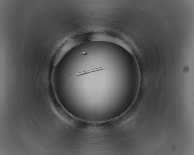 X0000093560538200710151109