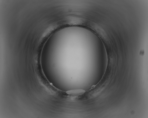 X0000093560539200710151109