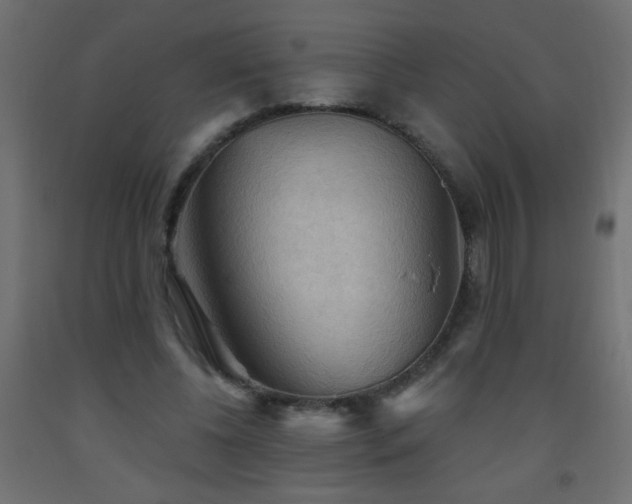 X0000093560540200710151109