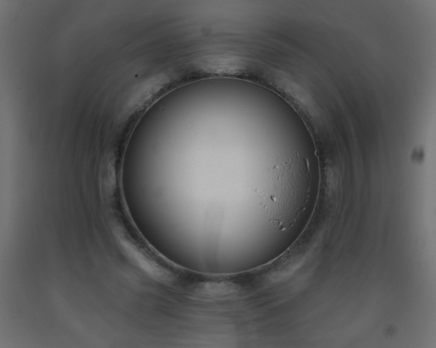 X0000093560541200710151109