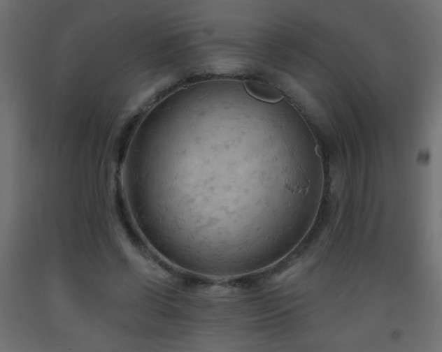 X0000093560542200710151109