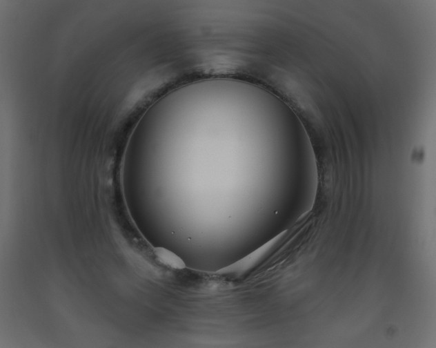 X0000093560543200710151109
