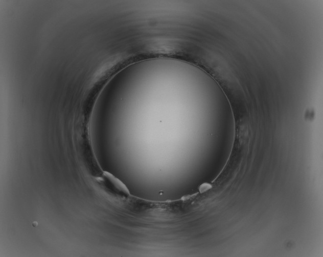 X0000093560544200710151109