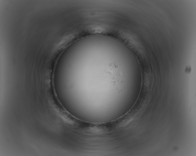 X0000093560545200710151109