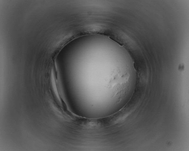 X0000093560546200710151109