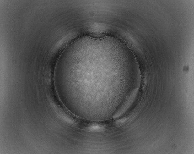 X0000093560547200710151109