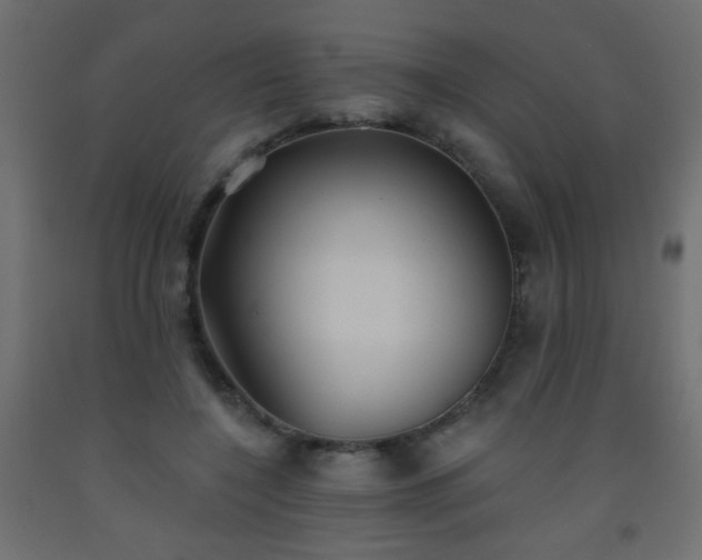 X0000093560548200710151109