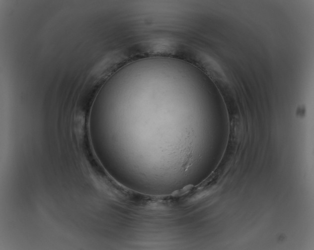 X0000093560550200710151109
