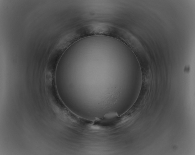X0000093560551200710151109