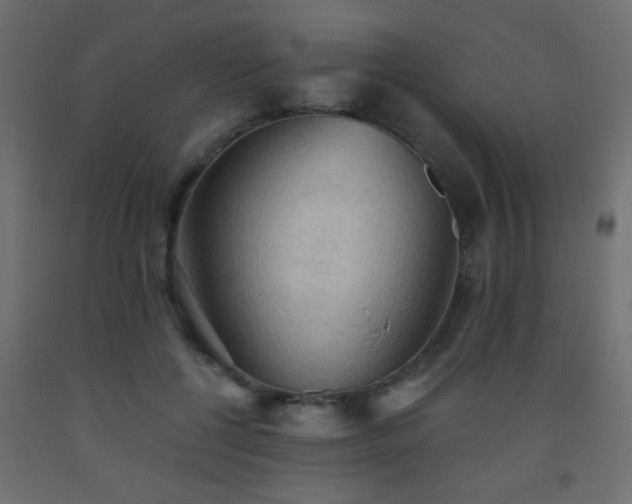 X0000093560552200710151109