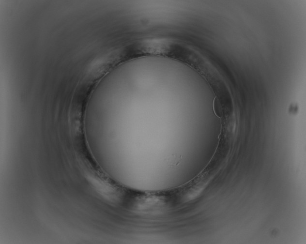 X0000093560553200710151109
