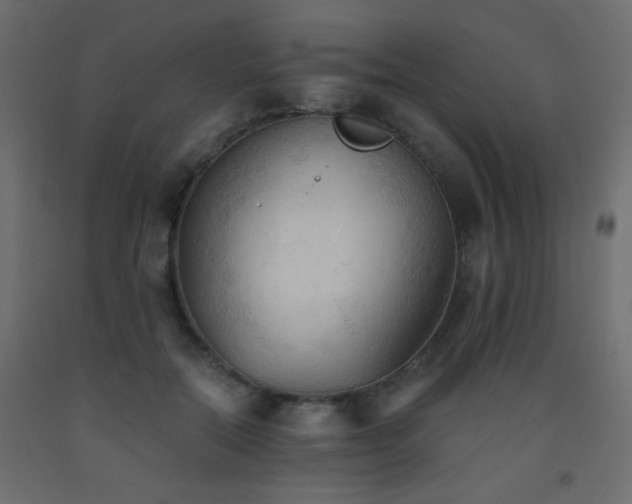 X0000093560554200710151109