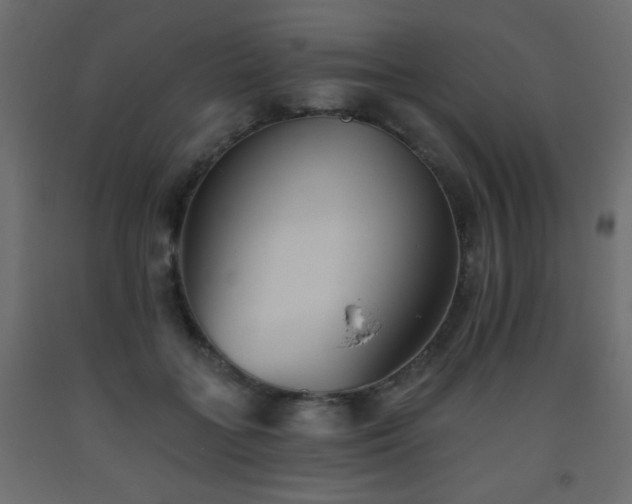 X0000093560555200710151109